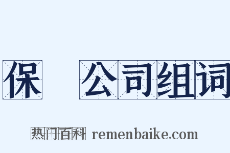 保險公司组词是什么意思的图片